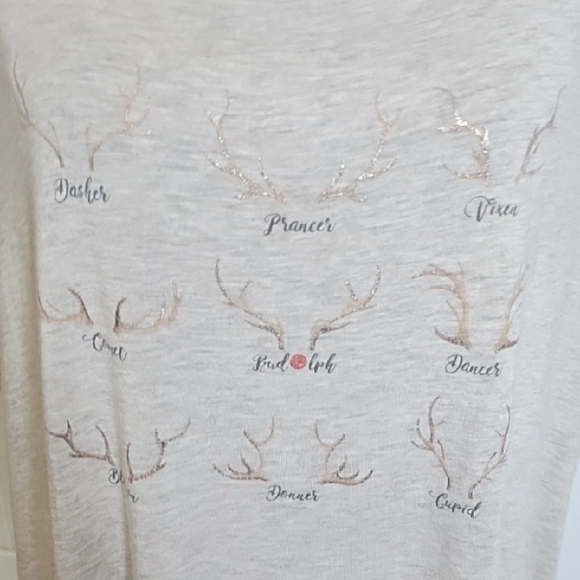 Oatmeal Christmas Soft Tee Shirt Top Reindeer Games Names Graphic - Picture 2 of 12